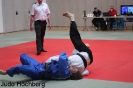 Bayernliga 2014 Höchberg gegen Kodokan München_65