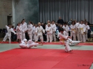 Weihnachtsfeier Judo 2013_11