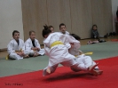 Weihnachtsfeier Judo 2013_13