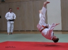 Weihnachtsfeier Judo 2013_14