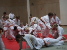 Weihnachtsfeier Judo 2013_19