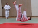 Weihnachtsfeier Judo 2013