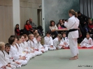 Weihnachtsfeier Judo 2013_21