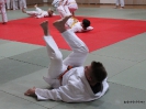 Weihnachtsfeier Judo 2013_28