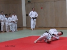 Weihnachtsfeier Judo 2013_38